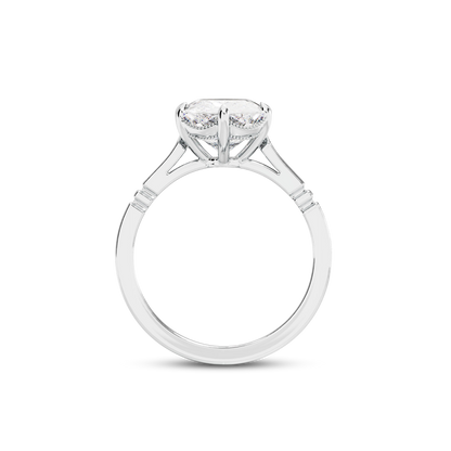 6 CT Iris