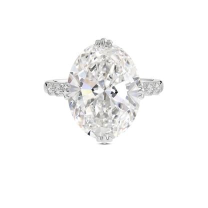 6 CT Celeste