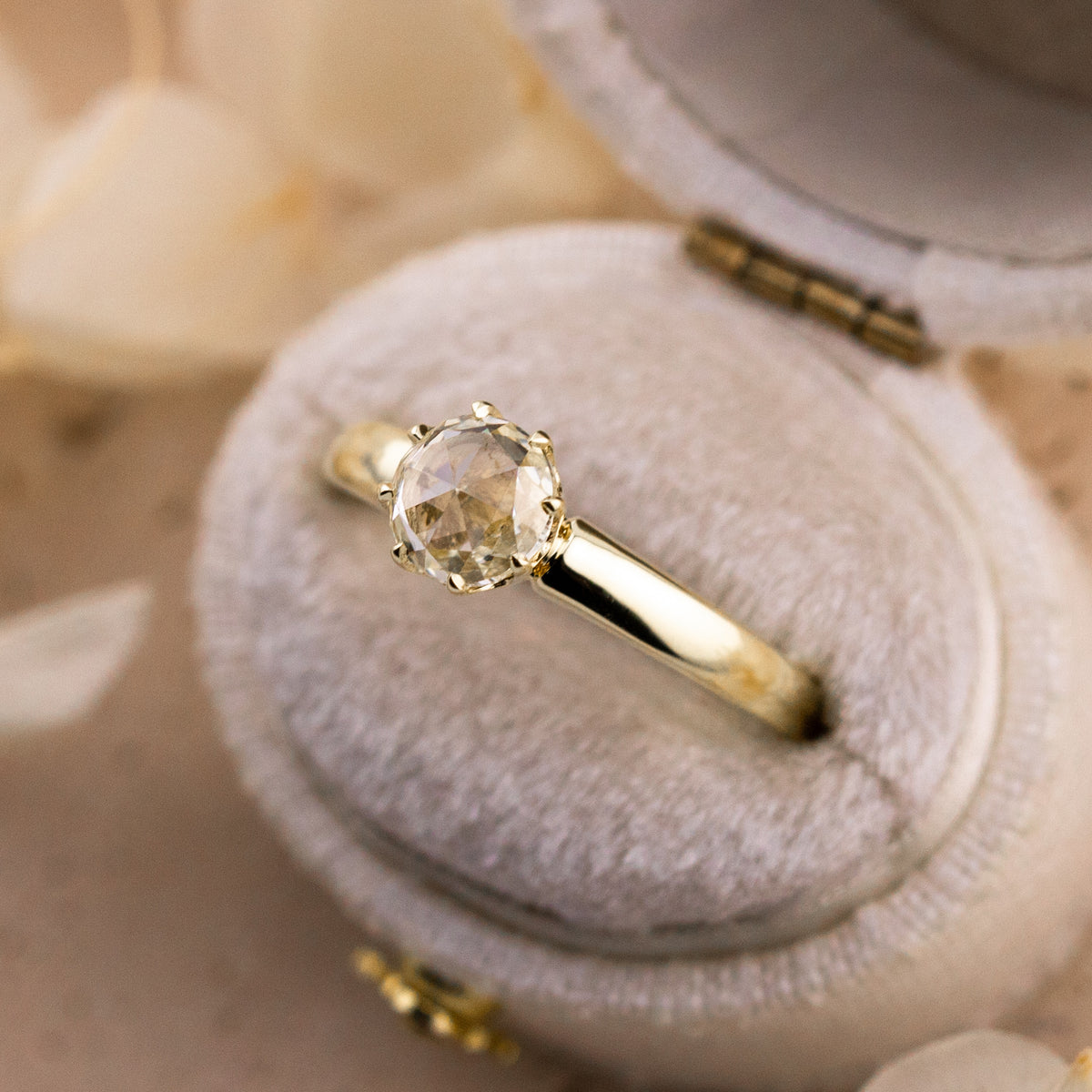Broad geometric faceting of the rose cut diamond catching light