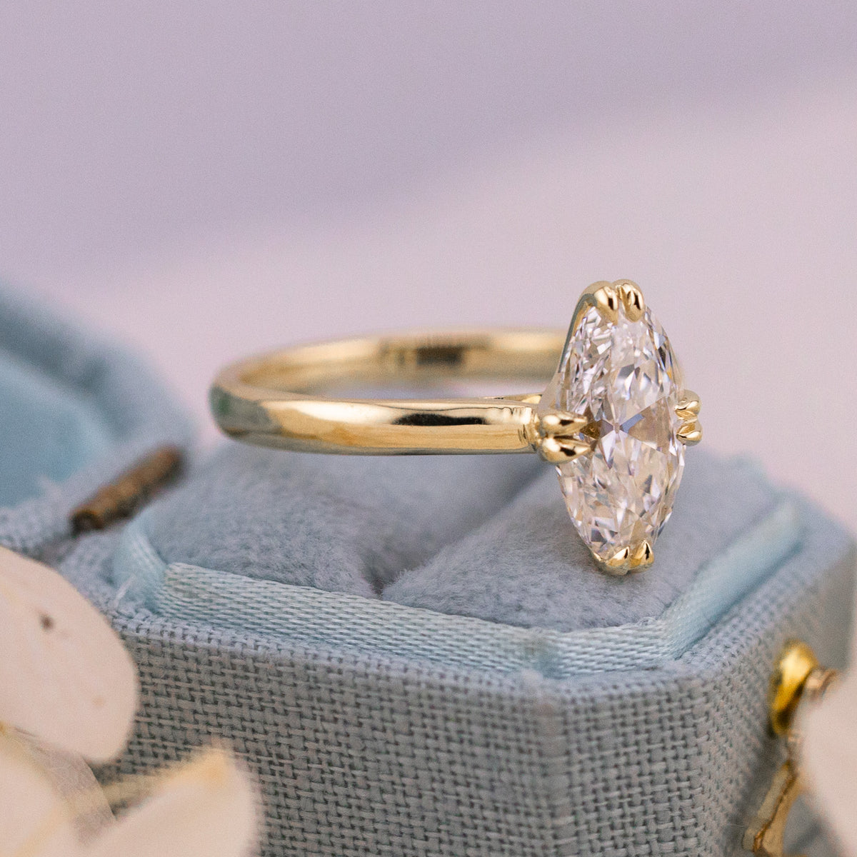 Vera moval ring shown from above in warm 14k yellow gold