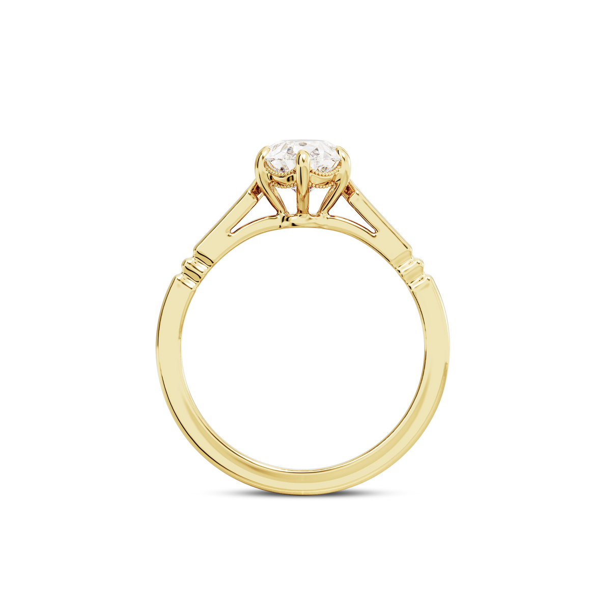 1.5 CT Iris