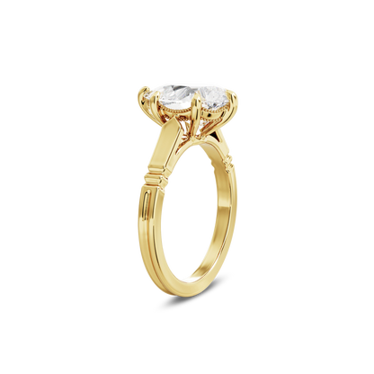 3 CT Iris