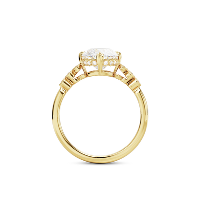 3 CT Celeste