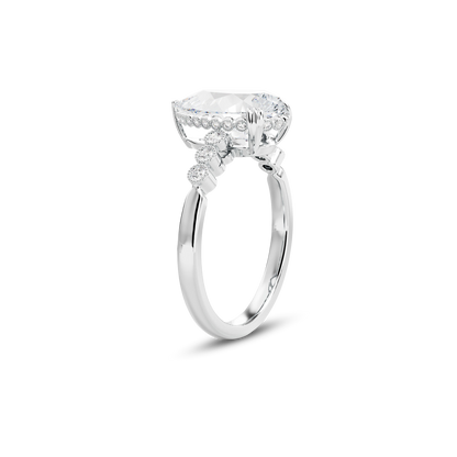 3 CT Celeste