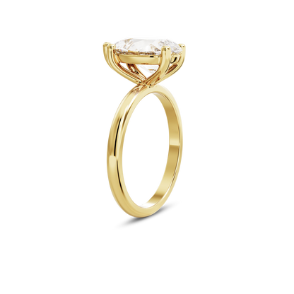 3 CT Eliza