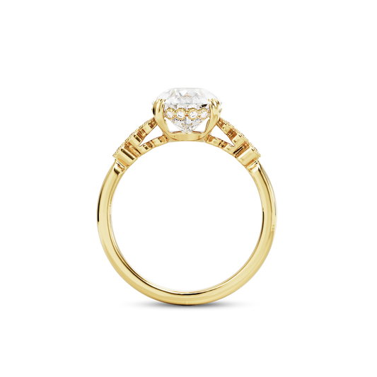 3 CT Celeste