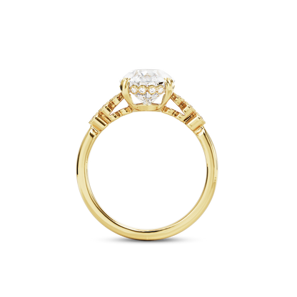 3 CT Celeste