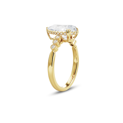3 CT Celeste