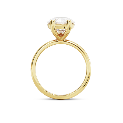 5 CT Eliza