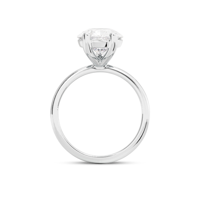5 CT Eliza