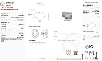 The Stone Archive · 3.75ct E VVS2 Oval Lab-Grown Diamond