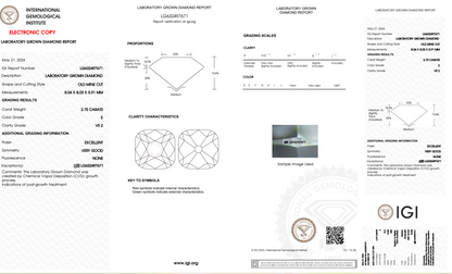 The Stone Archive · 2.75ct E VS2 Old Mine Cut Lab-Grown Diamond