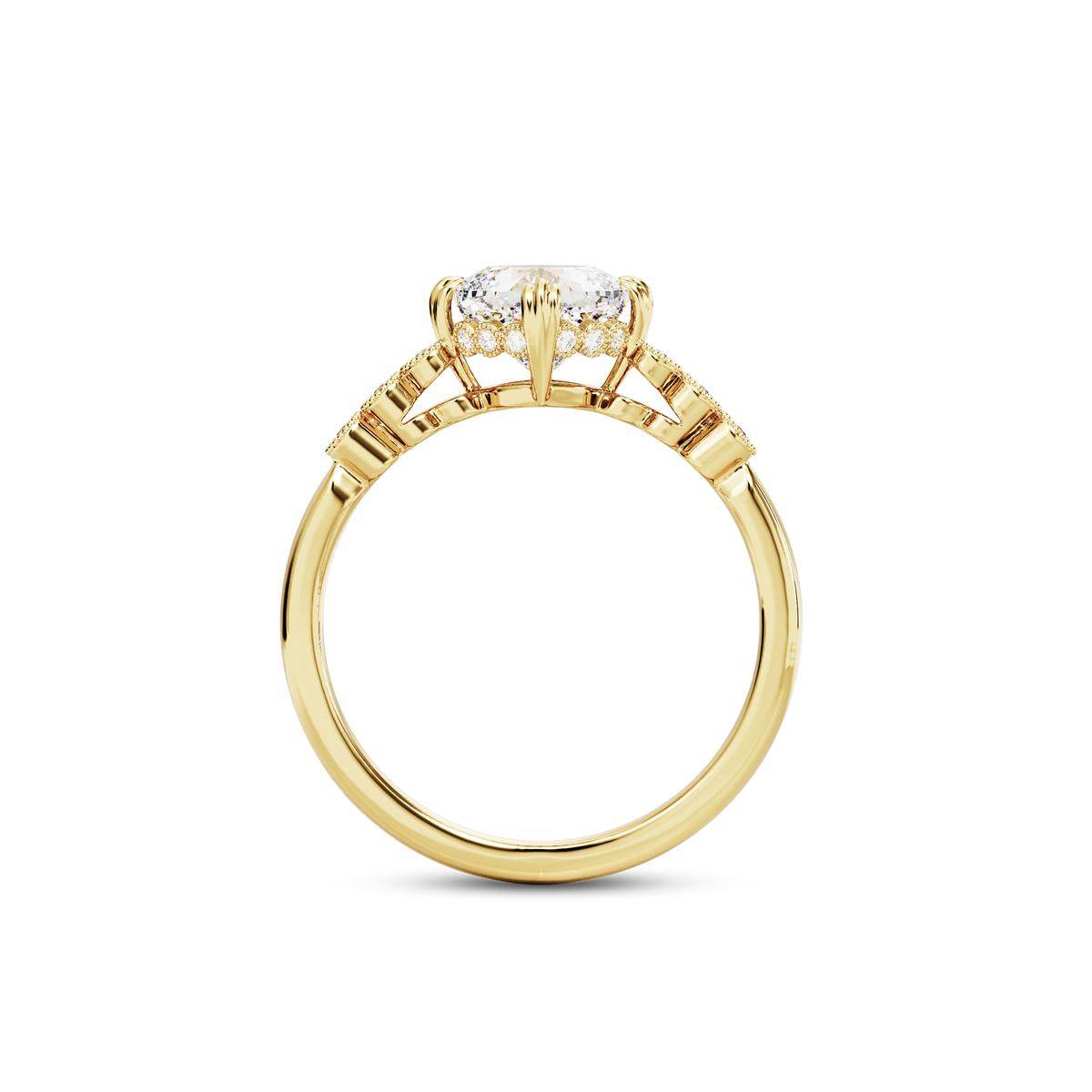 1.5 CT Celeste
