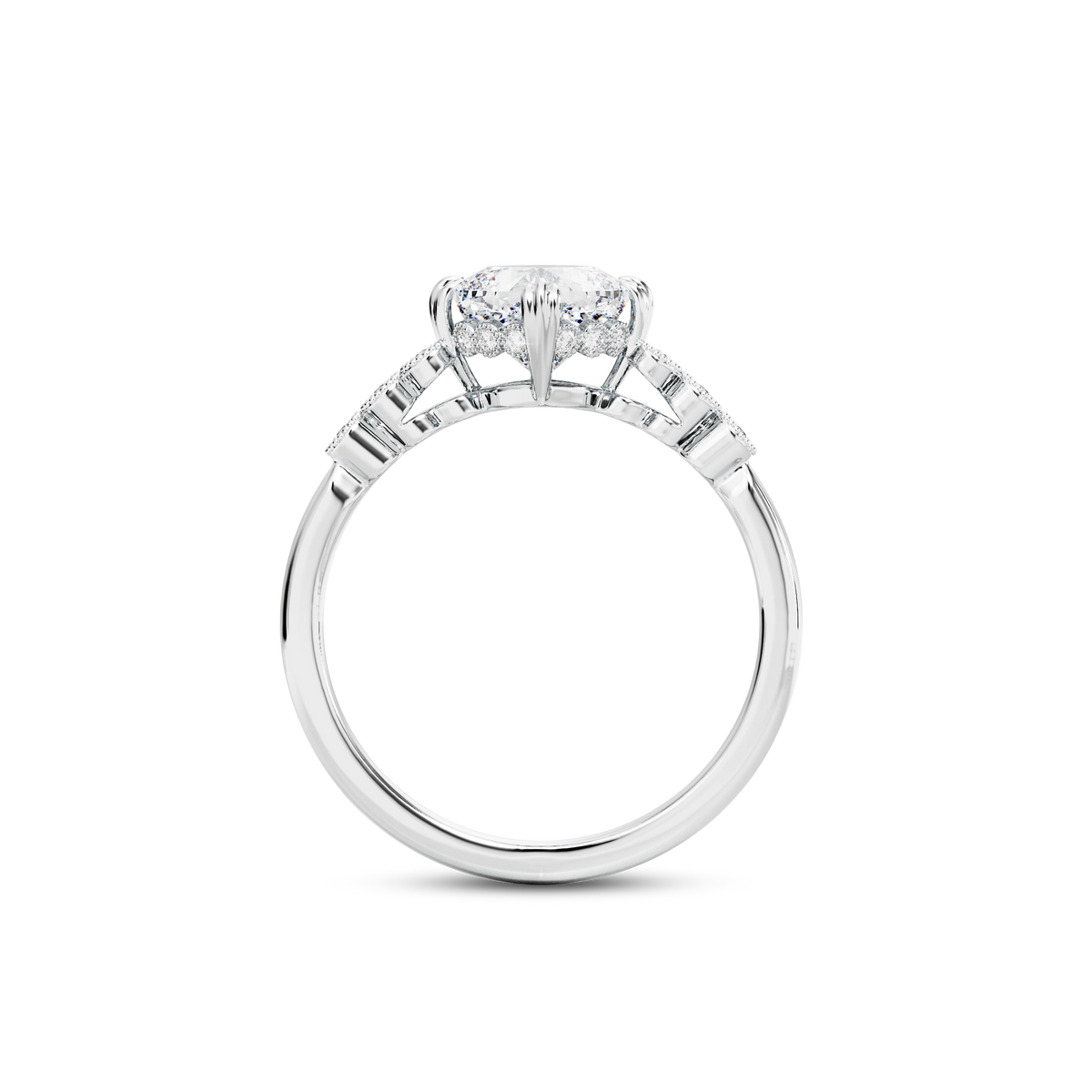 1.5 CT Celeste