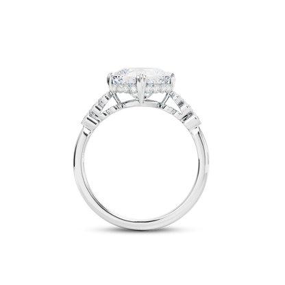 3 CT Celeste