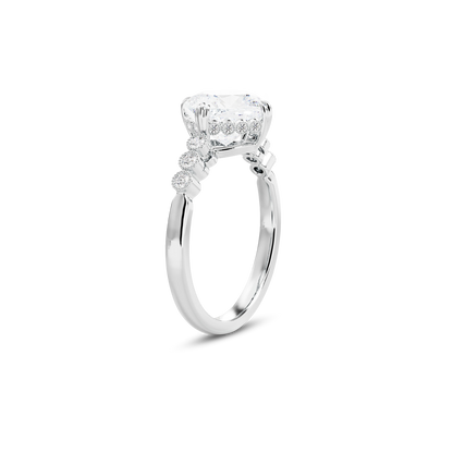 3 CT Celeste