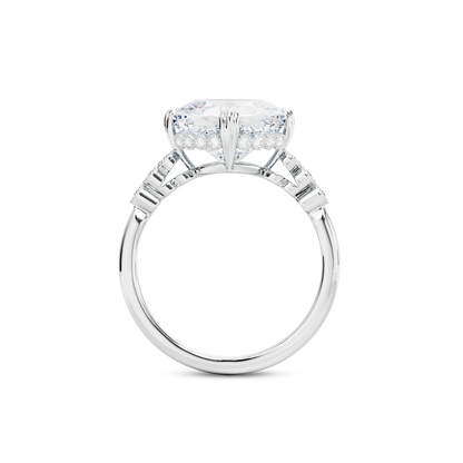5.5 CT Celeste