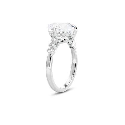 5 CT Celeste