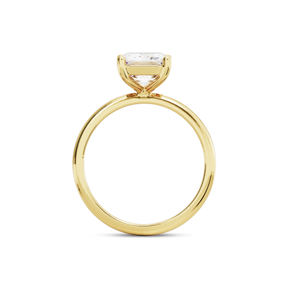 3 CT Eliza