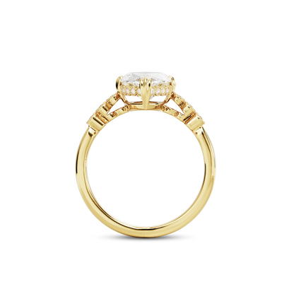 3 CT Celeste
