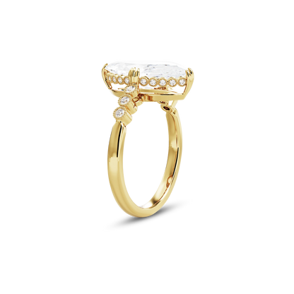 3 CT Celeste