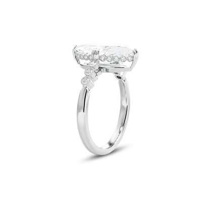 3 CT Celeste